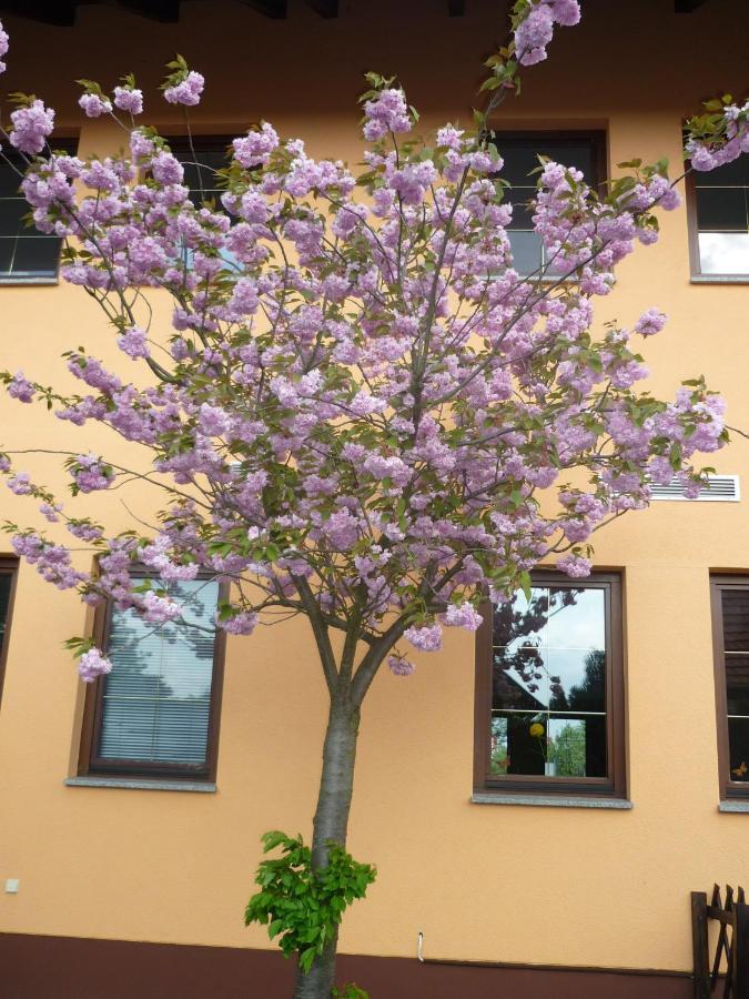 Willmersdorfer Hof Cottbus Exterior foto